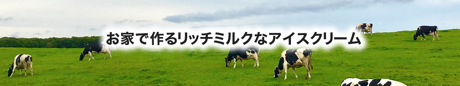 日本の酪農を守ろう！【手作り簡単】　ミルクがリッチなアイスクリーム