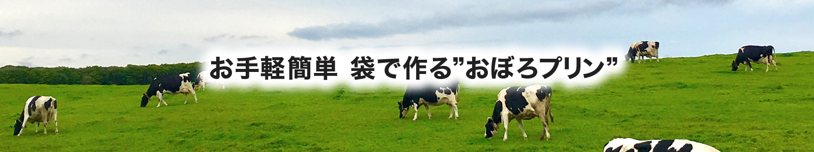 日本の酪農を守ろう！【簡単手作り】湯煎で作る袋プリン