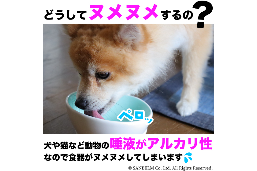 【送料無料】PallyPallyPET 洗剤不要のペット用食器洗い