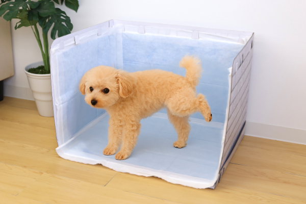 わんちゃん用組み立てトイレ