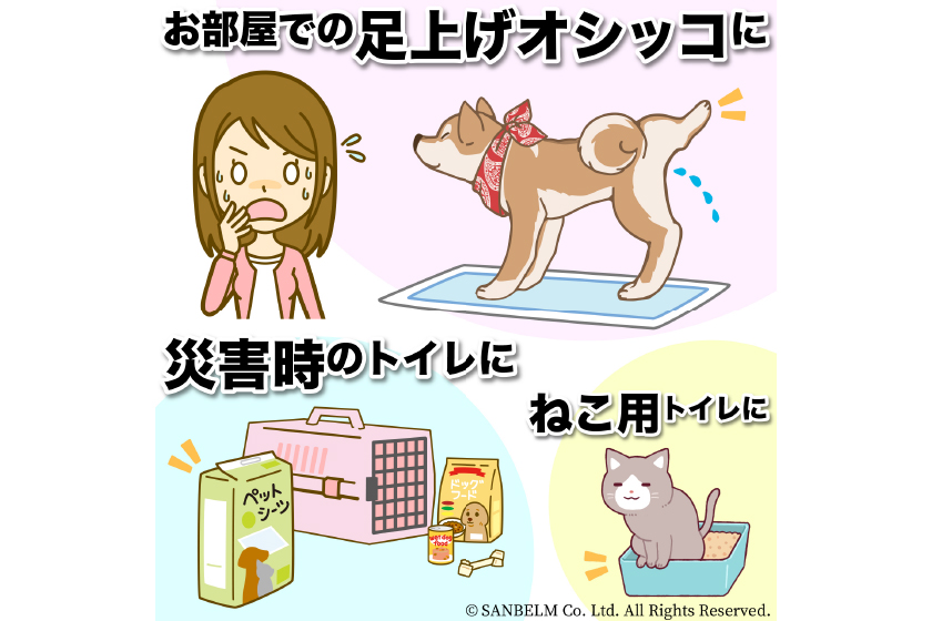 わんちゃん用組み立てトイレ